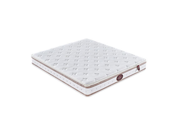 Re ipoallergenico insonorizzato Size Durable Anti Odorization del materasso del letto della spugna